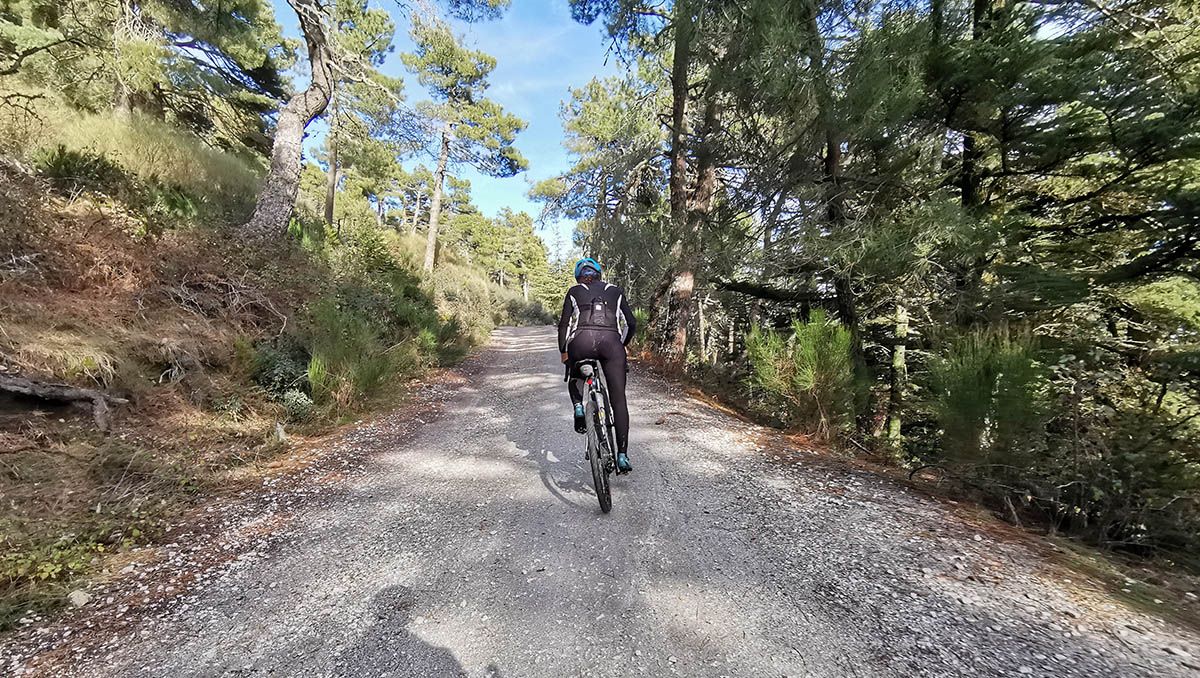 Los principios del entrenamiento ciclista