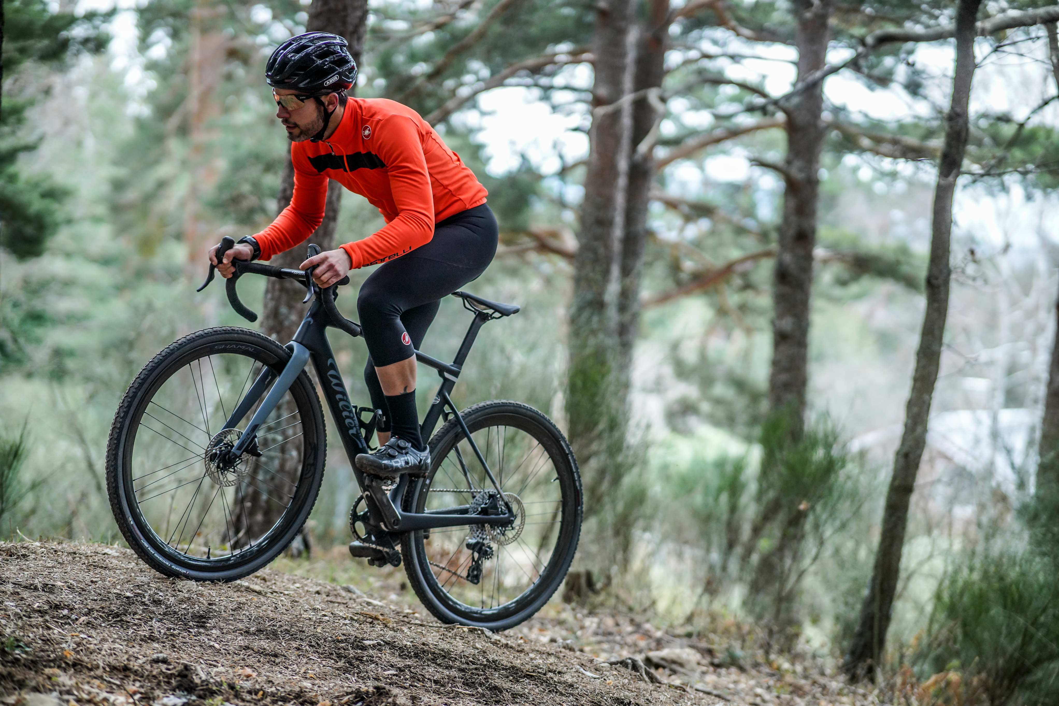 Así es la WILIER Rave SLR.