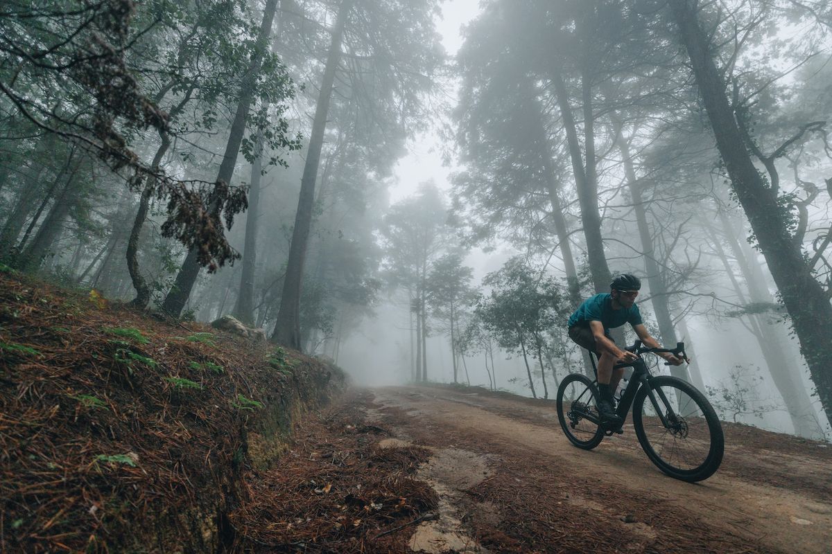 Specialized Creo 2 04A6294 (Specialized Creo 2 )