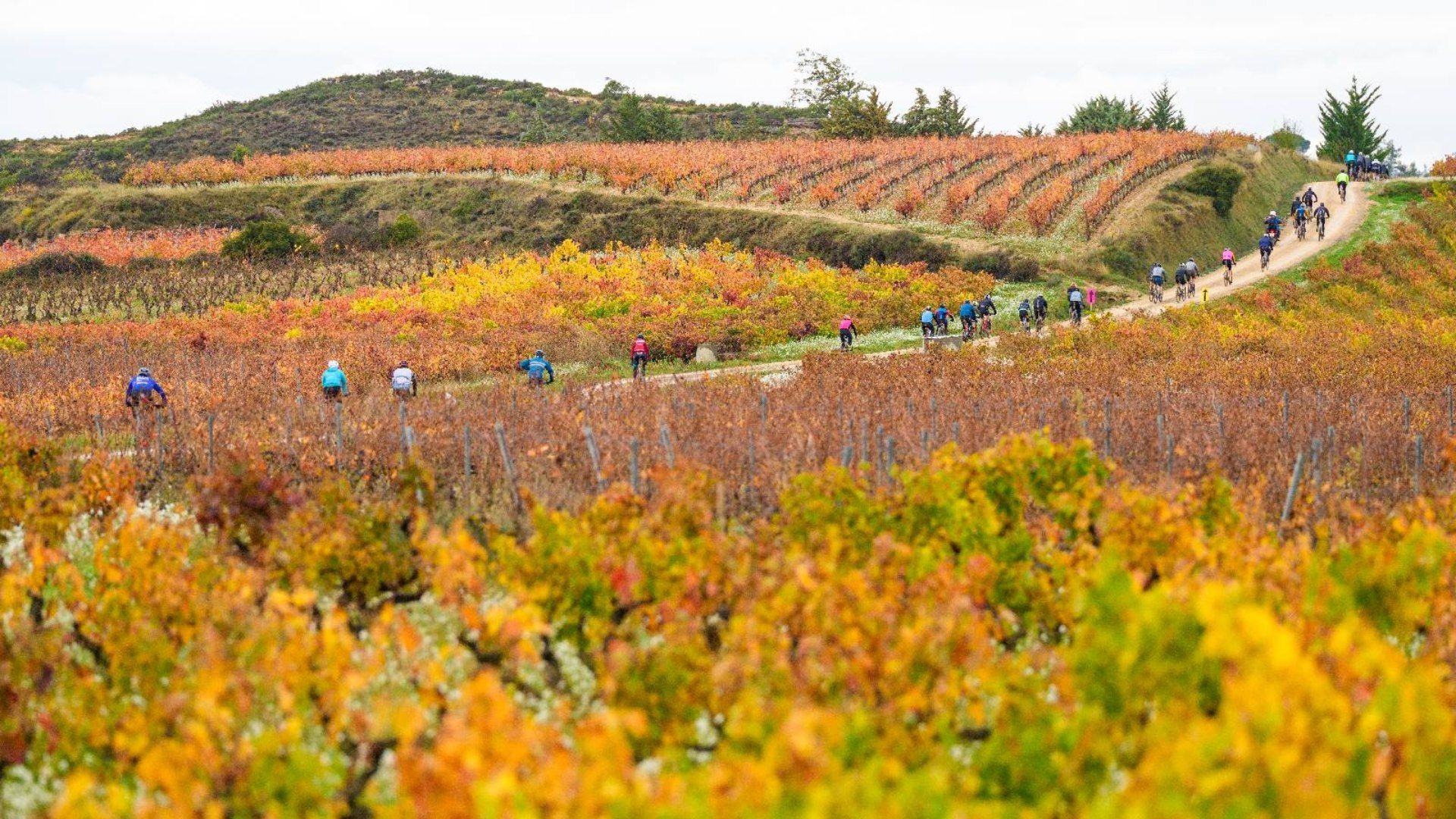 Orbea Gravel Rioja Alavesa  la referencia del gravel recreacional regresa del 23 al 25 de octubre