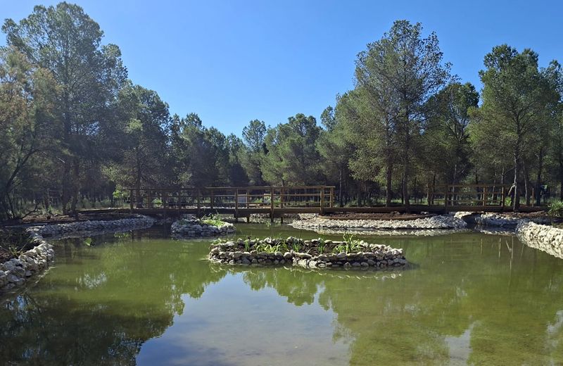 Espacio natural en El Plano