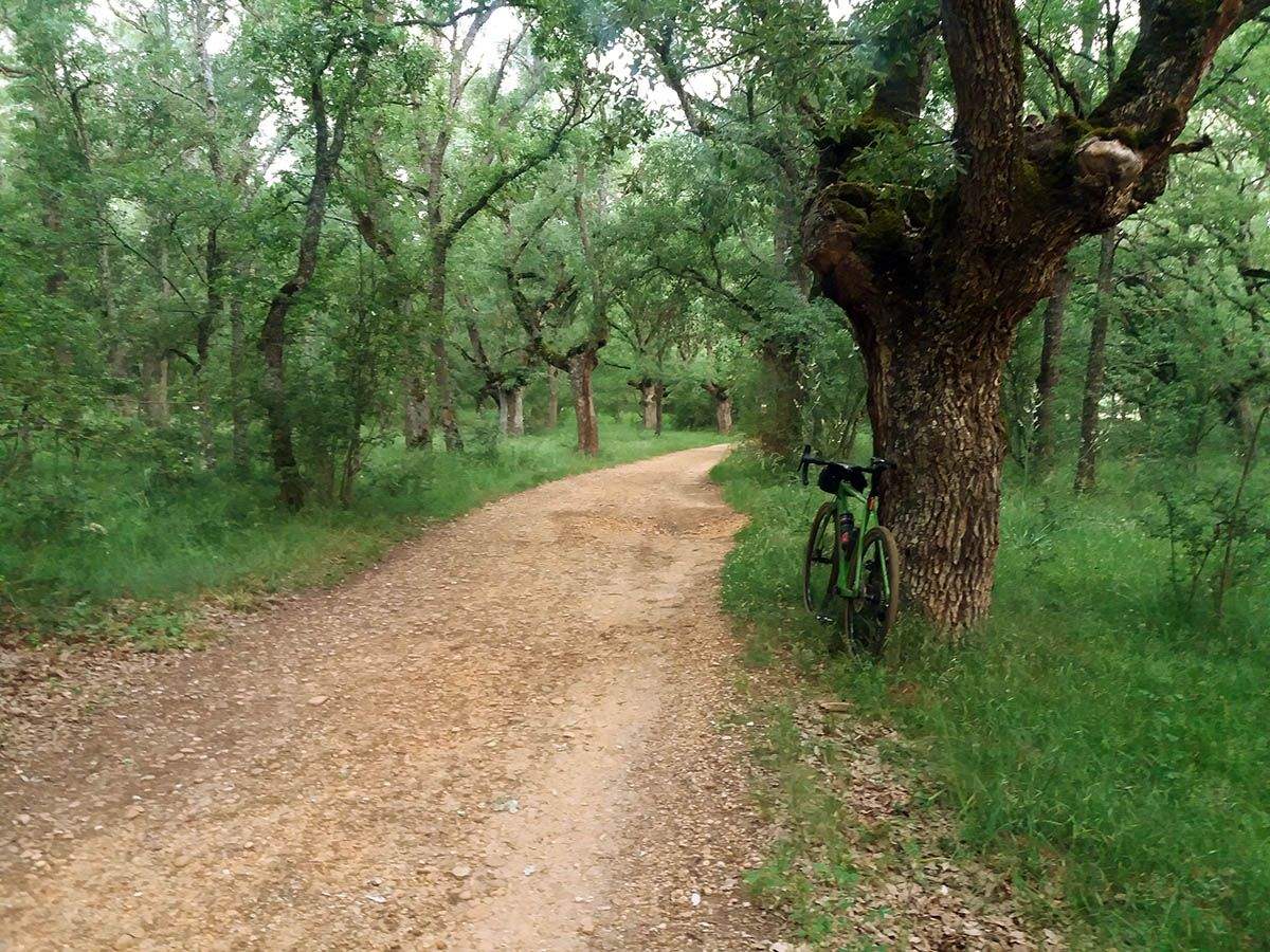 4 Junta de los Rios KM 9 1