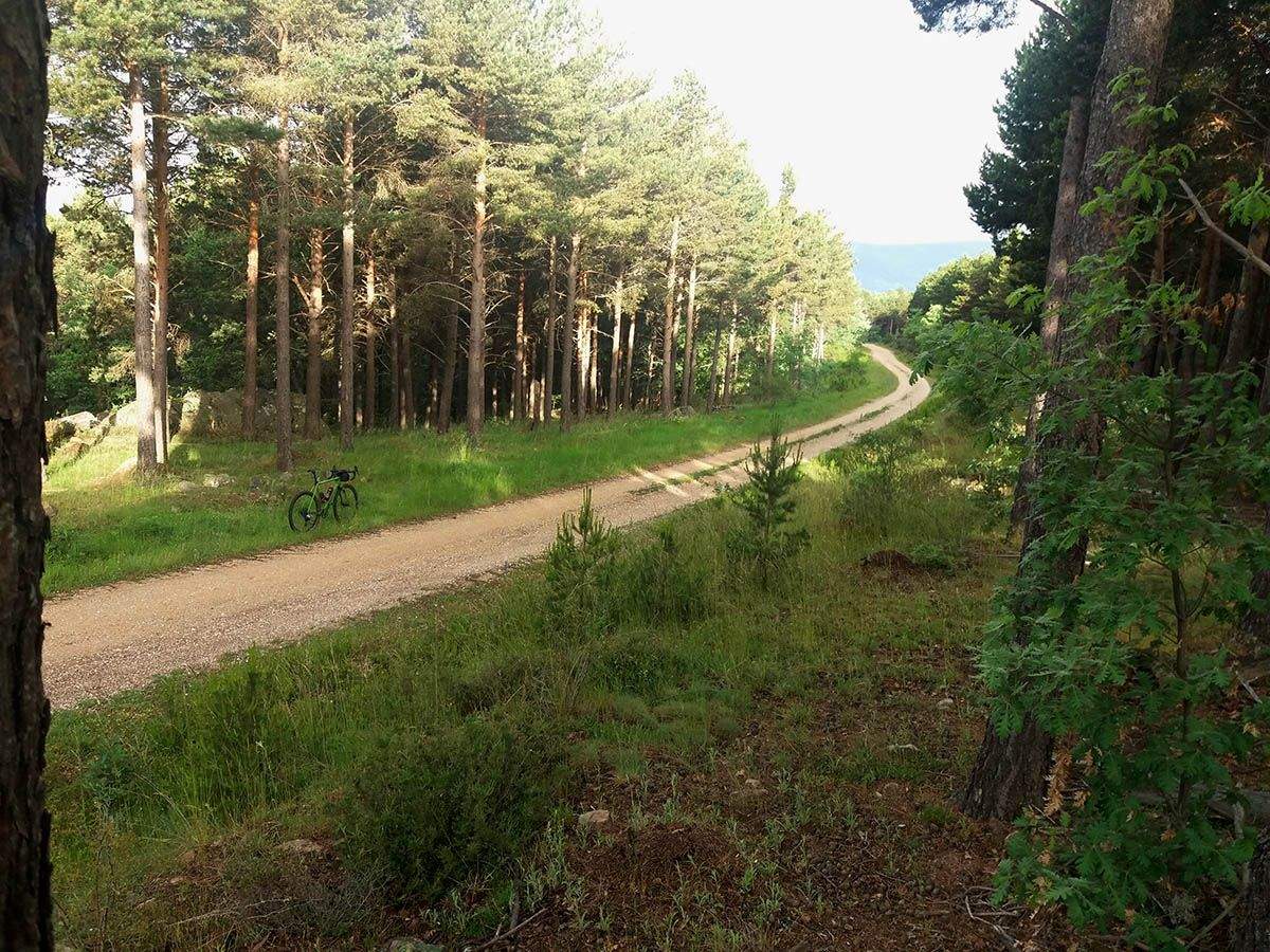 10 Pista Bajada Carcaña KM 27 1