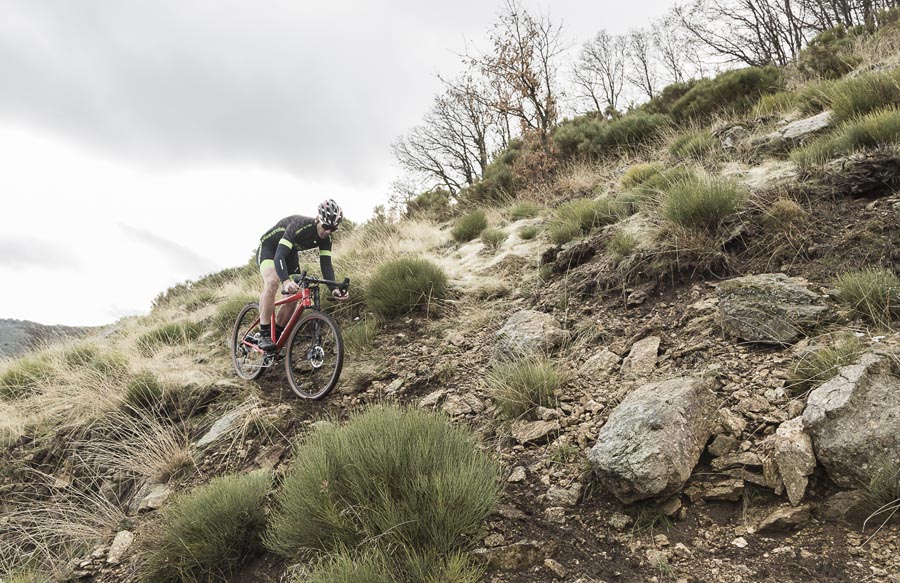 Ocho bicis gravel para soñar
