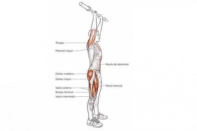 Anatomía de un ciclista: 10 ejercicios para volar dando pedales