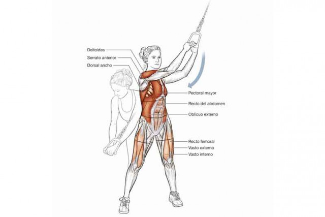 Anatomía de un ciclista: 10 ejercicios para volar dando pedales