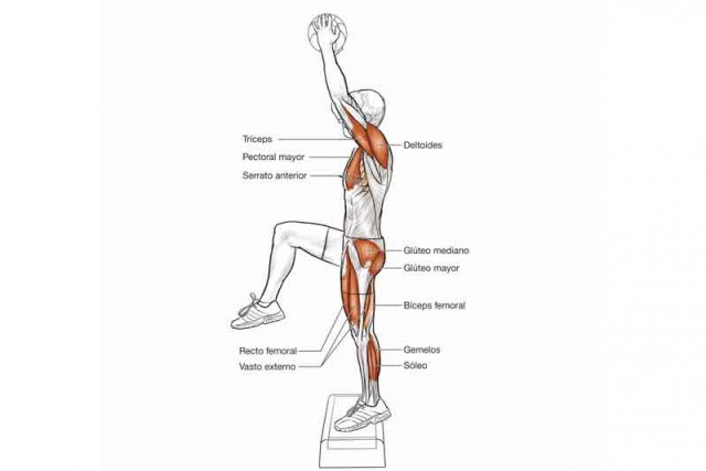 Anatomía de un ciclista: 10 ejercicios para volar dando pedales